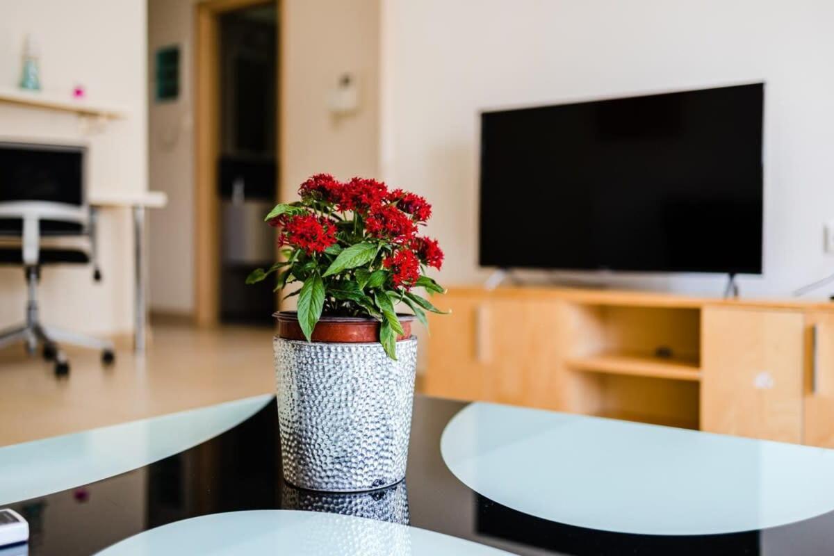 Kalamata's Spacious Getaway-taygetos Amazing View Holiday home Kalamata